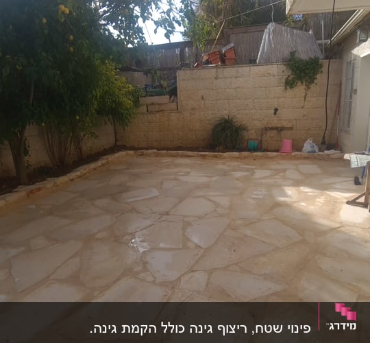 עץ לימון, עציצים, צינור השקיה, גינה קטנה